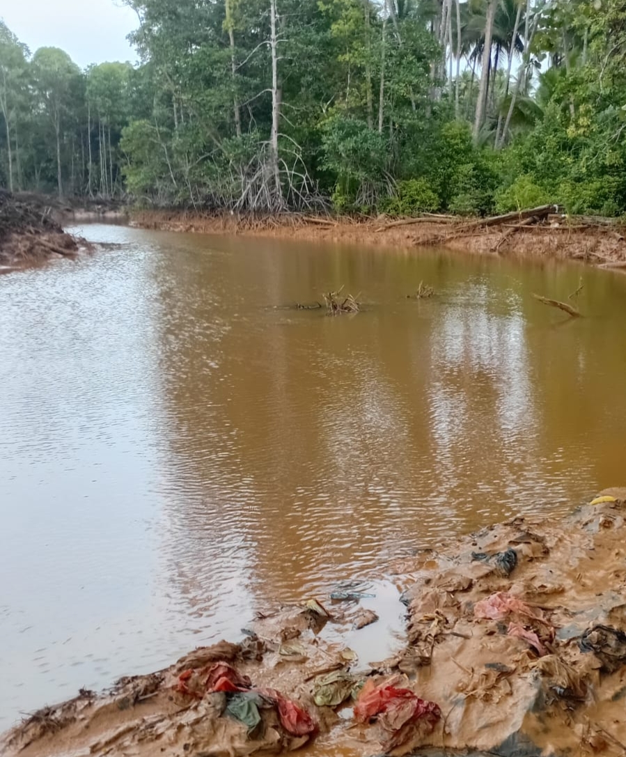 Bantah Klaim Hujan, Warga dan Aktivis Sebut Perubahan Warna Teluk Buli Diduga Akibat Sedimentasi dari Aktivitas PT. Feni
