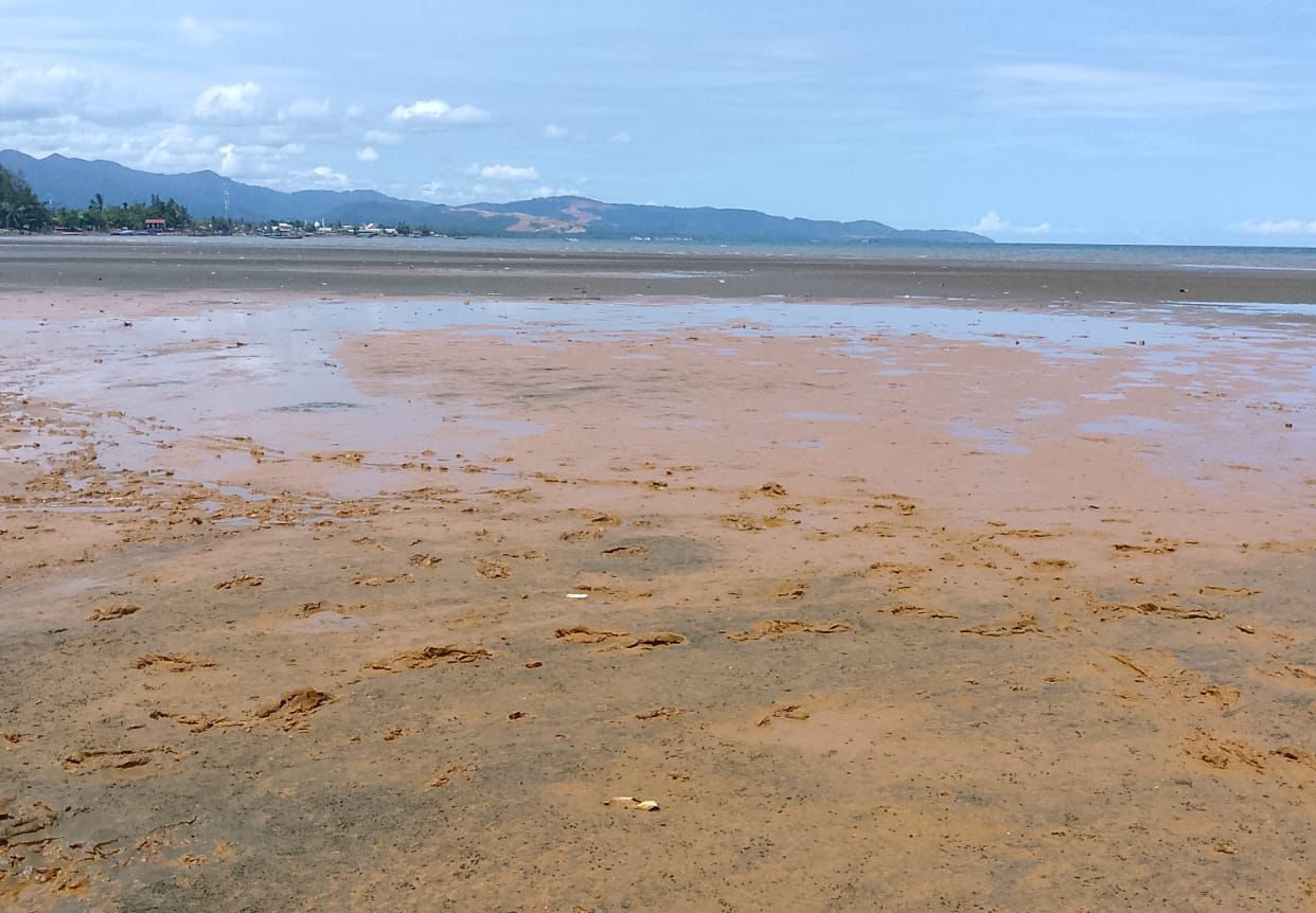Akademisi IPB Ingatkan Risiko Tambang Nikel di Pesisir Teluk Buli terhadap Laut dan Kesehatan Warga
