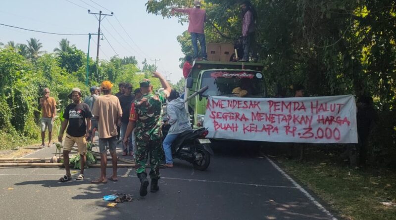 Harga Kelapa Anjlok, Petani Halut Blokade PT Nico dan Soroti Perda Hilirisasi