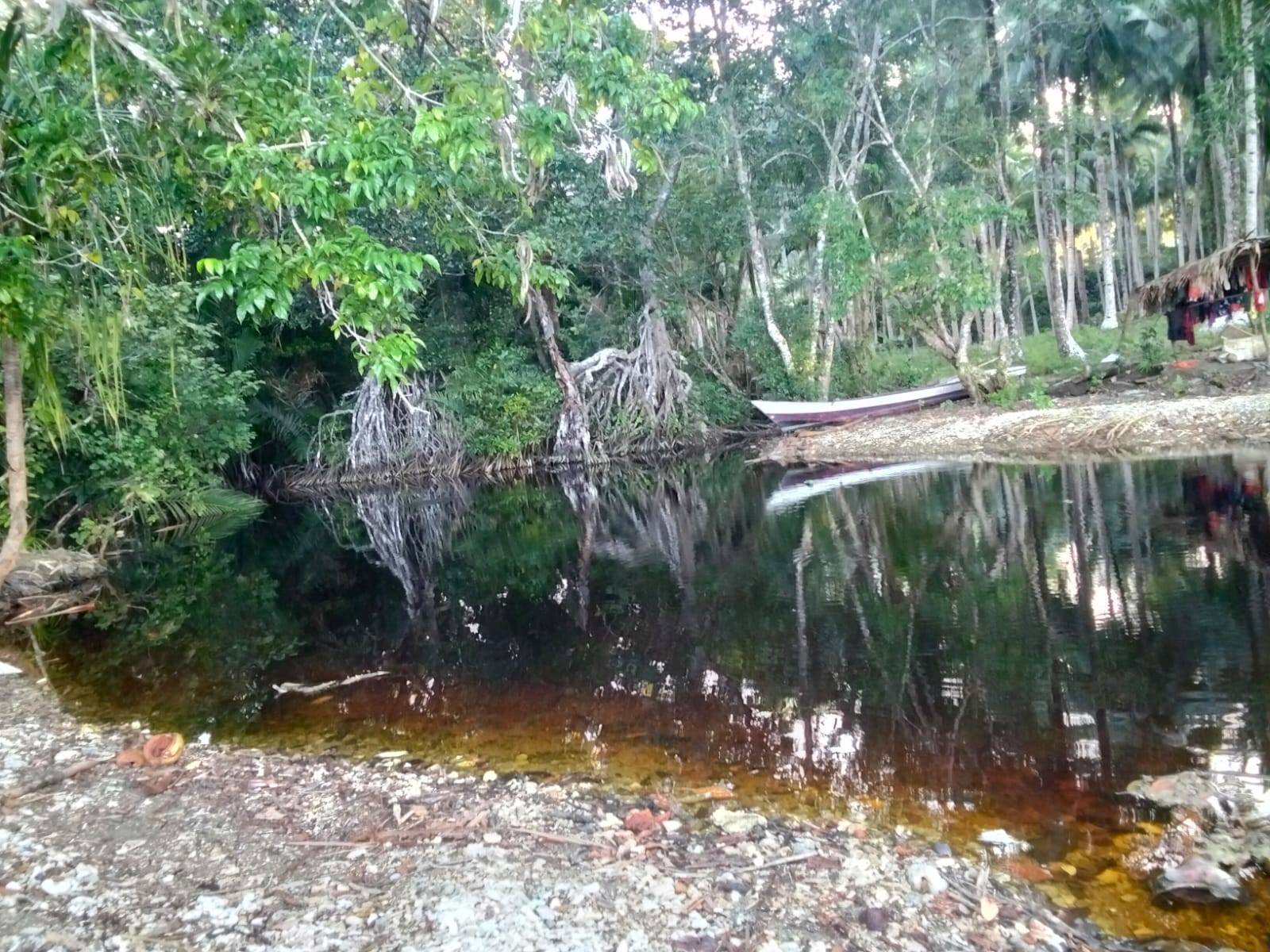 Walhi Soroti Dugaan Pencemaran Sungai Marasagili, Pengelolaan Limbah PT GMM Diminta Diaudit