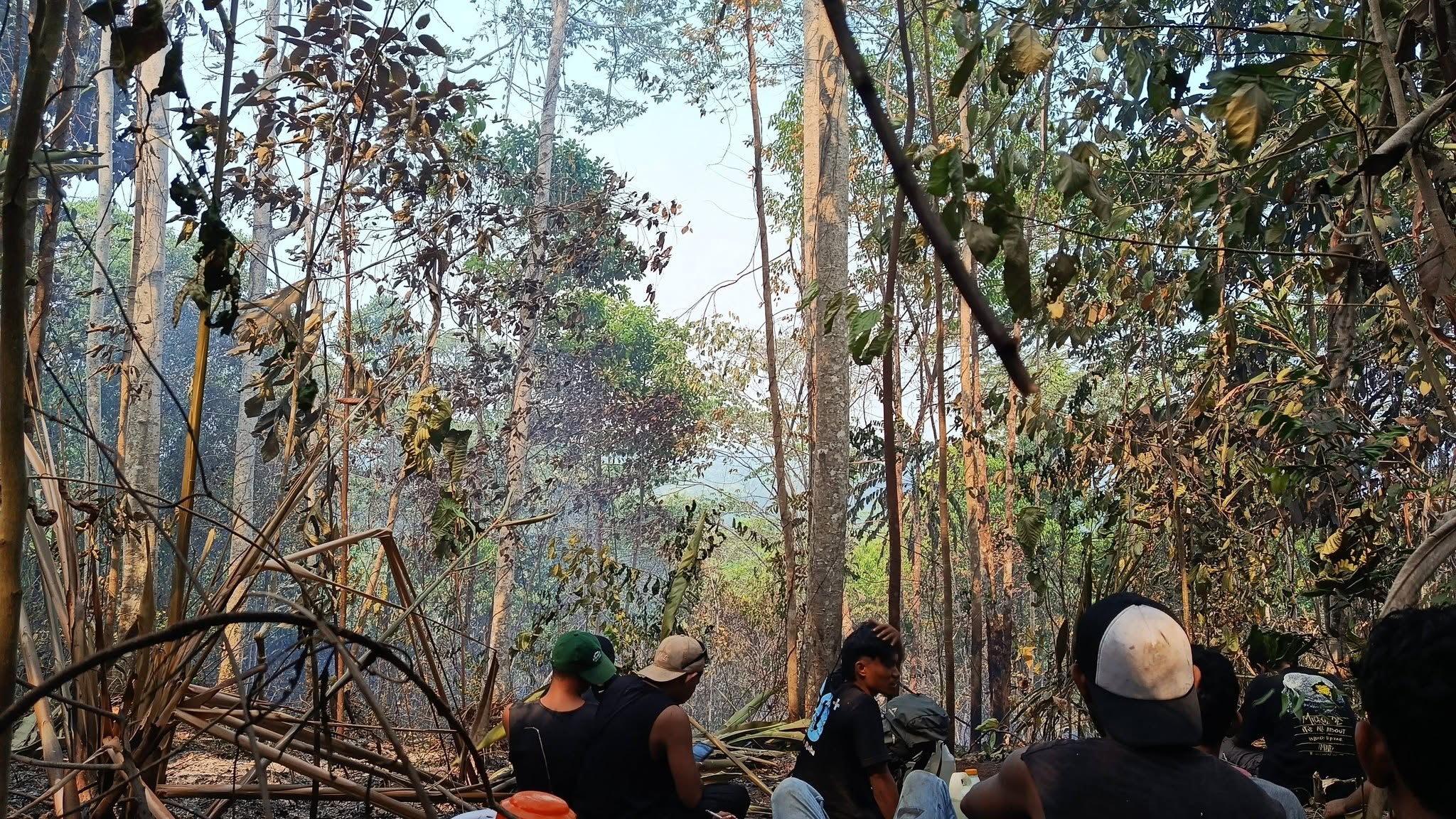 Warga Desak Pemerintah Turun Tangan Atasi Karhutla 100 Hektare di Gunung Wato-Wato